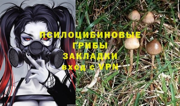 кристаллы Гусев